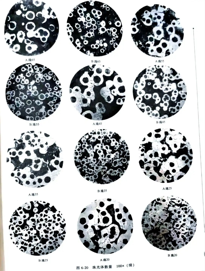 The influence of graphite morphology in cast iron on performance